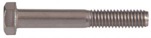 Bolt Hex Cap SS 1/4-20X1/2