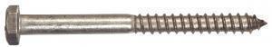 Lag Scrw Hex SS 3/8X5
