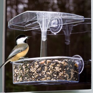 Observer Window Feeder