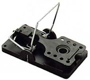 SNAP-E RAT TRAP