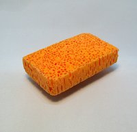 Bio Bob The Cute One- Dish