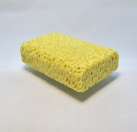 Bio Bob Counter Buddy