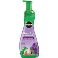 AFRICAN VIOLET FOOD