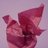 20"x30" Claret Tissue