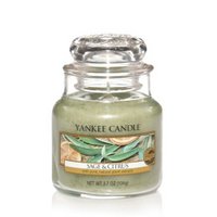 Small Jar - Sage & Citrus