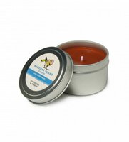 Madeline Island Travel Tin Soy Candle - Oakmoss & Amber
