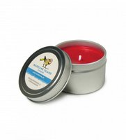 Madeline Island Travel Tin Soy Candle - Cedar & Cinnamon