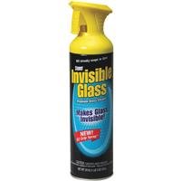 19OZ GLASS CLEANER