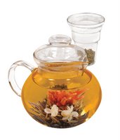 Primula 5C Glass Teapot