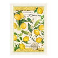 Lemon Kitchen Towel