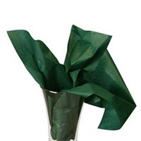20"x30" Evergreen Tissue