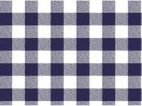NS Gingham Navy/by the Yd