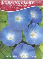 LV - Morning Glory Clark's Heavenly Blue Seed