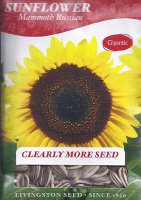 LV - Sunflower Mammoth Russian Seed