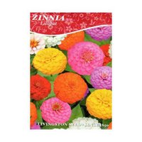 LV - Zinnia Lilliput Seed