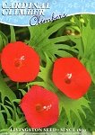 LV - Cardinal Climber Seed