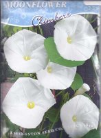 LV - Moonflower Seed