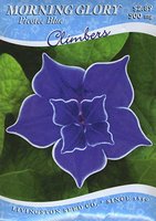 LV - Morning Glory Blue Picotee Seed