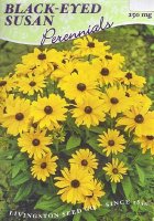 LV - Black Eyed Susan Seed