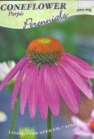 LV - Purple Coneflower Seed
