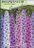 LV - Delphinium Pacific Giants Mix Seed