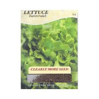 LV - Buttercrunch Lettuce Seed