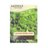 LV - Buttercrunch Lettuce Seed