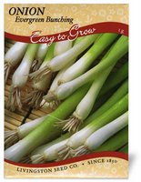 LV - Evergreen Bunching Onion Seed