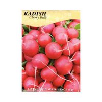 LV - Cherry Belle Radish Seed