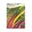 LV - Bright Lights Swiss Chard Seed