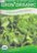 LV - Organic Buttercrunch Lettuce Seed