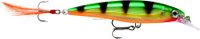 RAPALA XR10P X-RAP JERKBAIT 10