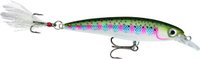 RAPALA XR10RT X-RAP JERKBAIT 10