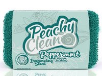 Peppermint Dish Scrubber