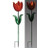 Orange Tulip Solar Stake
