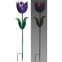 Purple Tulip Solar Stake