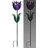 Purple Tulip Solar Stake