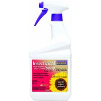 INSECTICIDAL SOAP SPRAY
