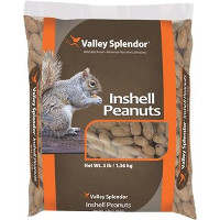 3LB PEANUTS IN SHELL