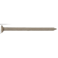 1LB CLAY SS TRIM NAIL