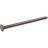 1LB BRN SS TRIM NAIL