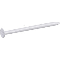 1LB WHITE SS TRIM NAIL