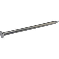 1LB 20D BRT COMMON NAIL