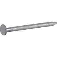 1LB HDG 8D COMMON NAIL