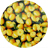 8" Round Lemons Trivets