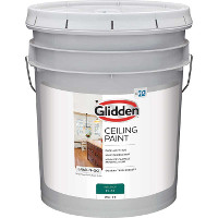 GLD CEILING PAINT 2070T