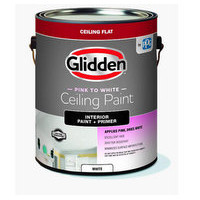 GLD CEILING PAINT EZ